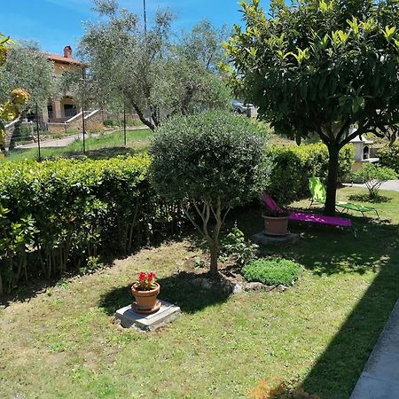 Goccia In Valdorcia Smart Home San Quirico dʼOrcia Eksteriør bilde
