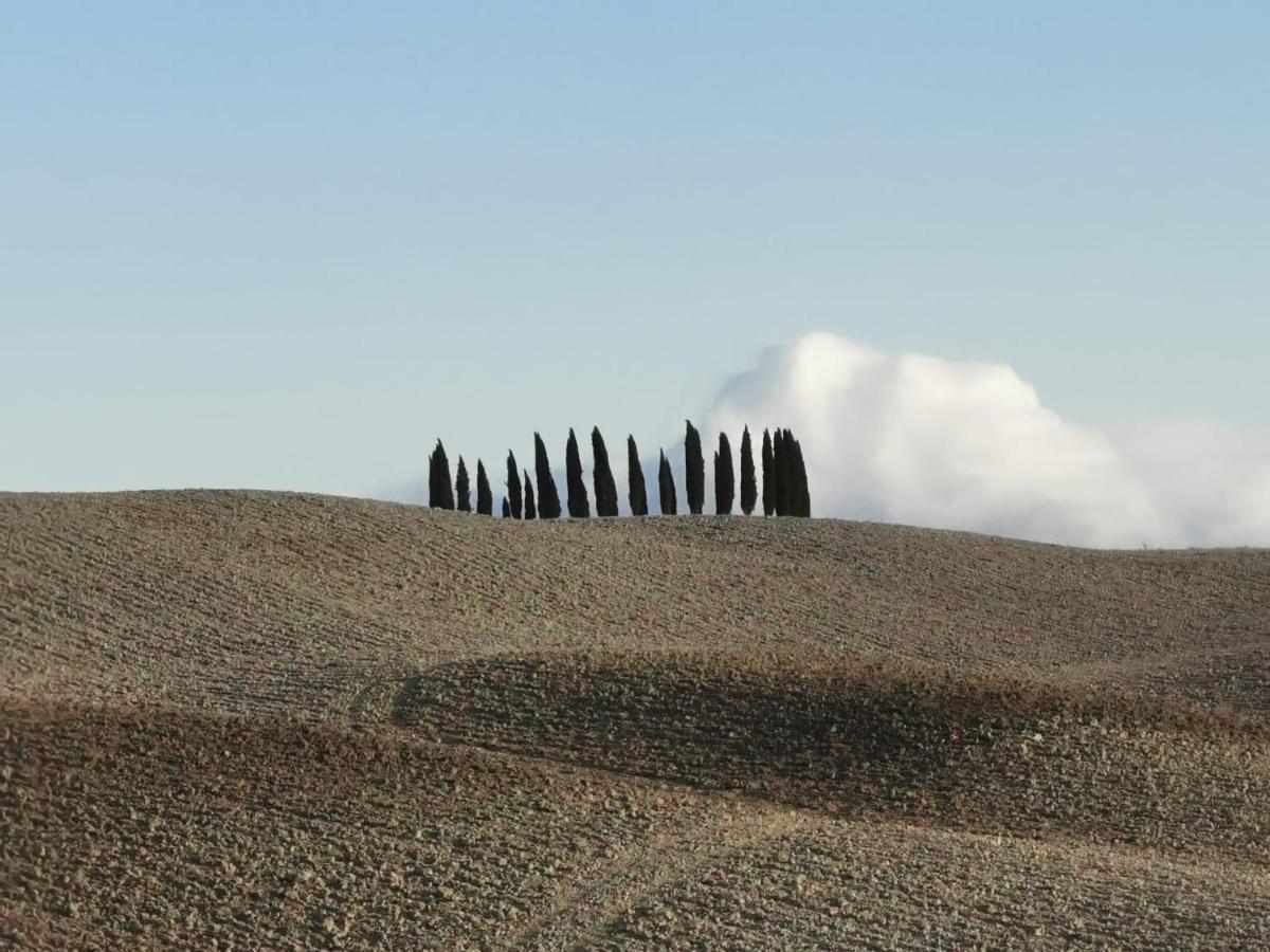 Goccia In Valdorcia Smart Home San Quirico dʼOrcia Eksteriør bilde