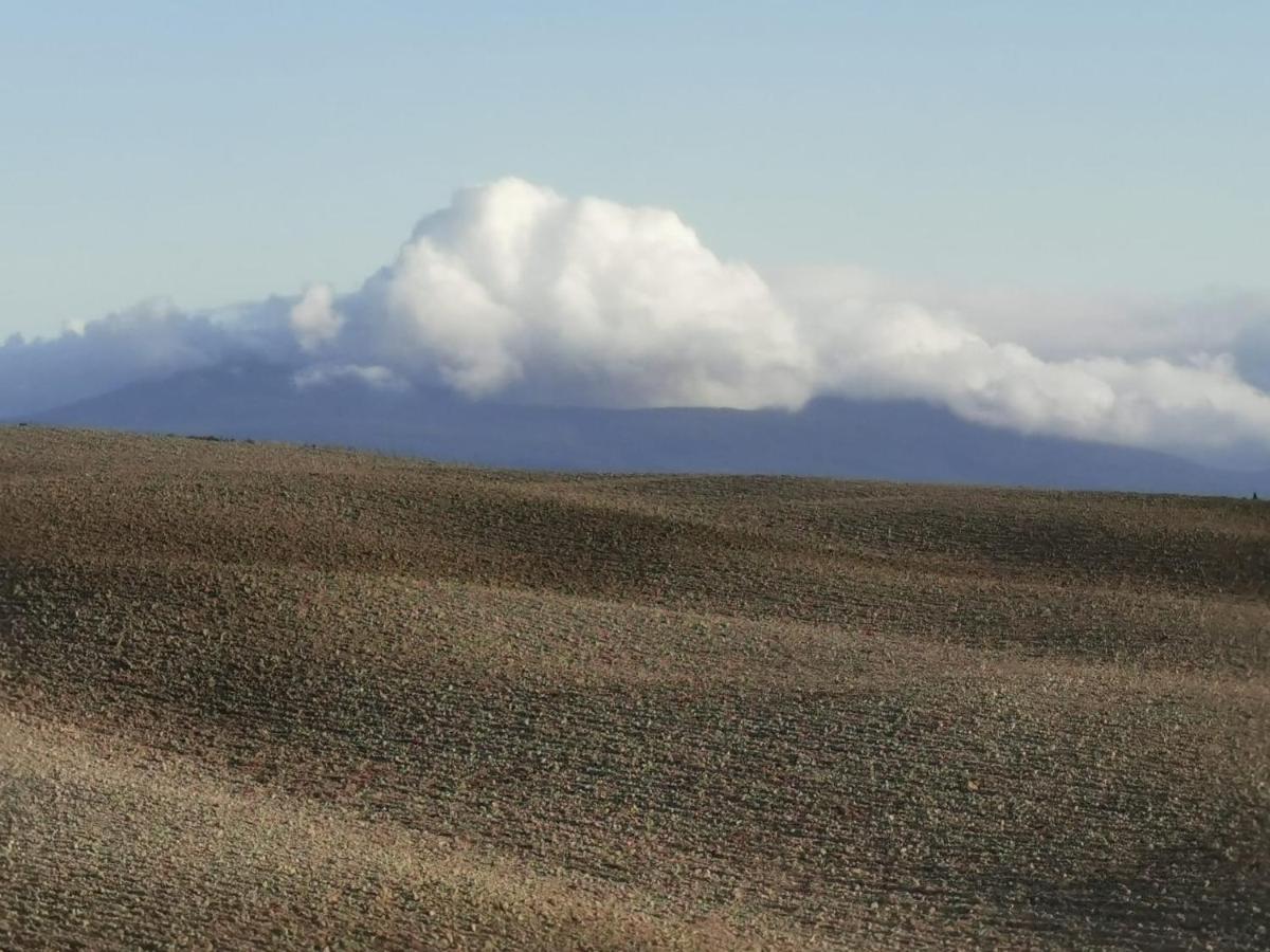 Goccia In Valdorcia Smart Home San Quirico dʼOrcia Eksteriør bilde