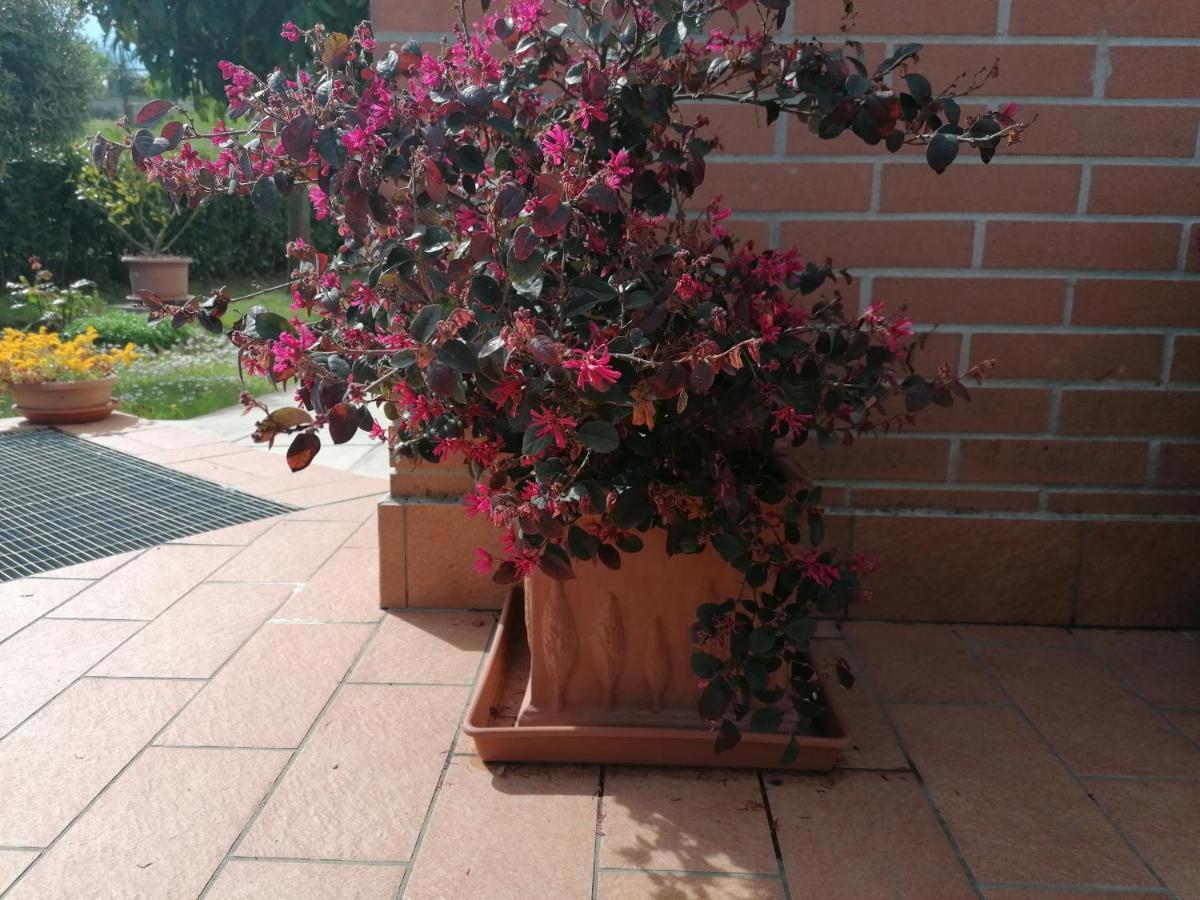 Goccia In Valdorcia Smart Home San Quirico dʼOrcia Eksteriør bilde